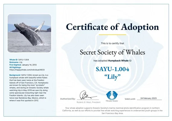 February 2022 - charity lily adopt image